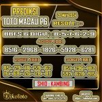 TOTOMACAU P6