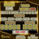 PREDIKSI TOGEL 🇨🇳 CHINA 🇨🇳 13 JULI 2024