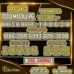 TTM P6